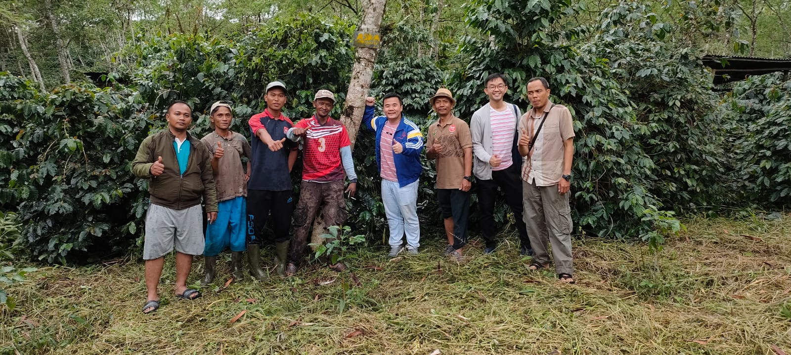 Video laden: Unser Team in der wilden Luwak-Kaffeeplantage